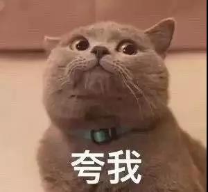 【驕傲】天天飛兩家(jiā)公司成功入選廣西自治區(qū)2019年 科技(jì)型中小(xiǎo)企業名單